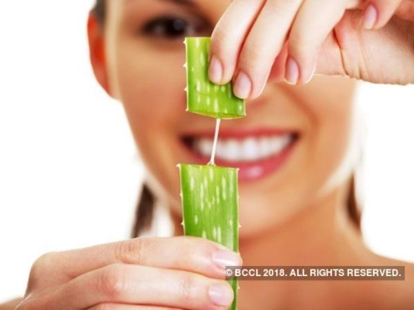  Aloe vera is highly effective in reducing weight